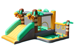 Doctor Dolphin Bouncer Dinoworld incl. 350W blower